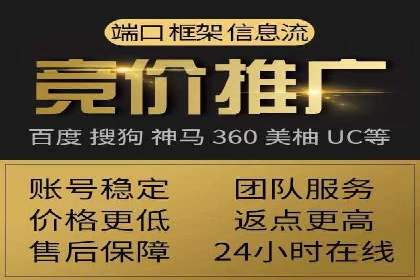 SEO策略在电商平台的成功应用案例